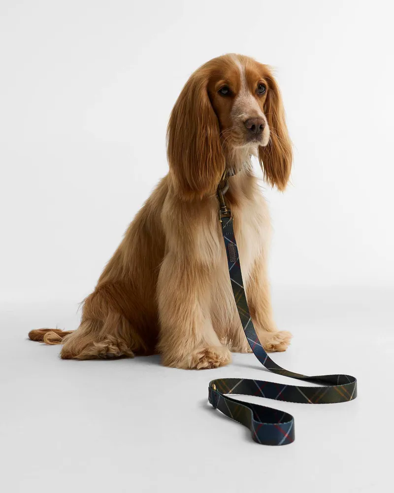 Barbour Tartan Printed Dog Lead - Classic Tartan