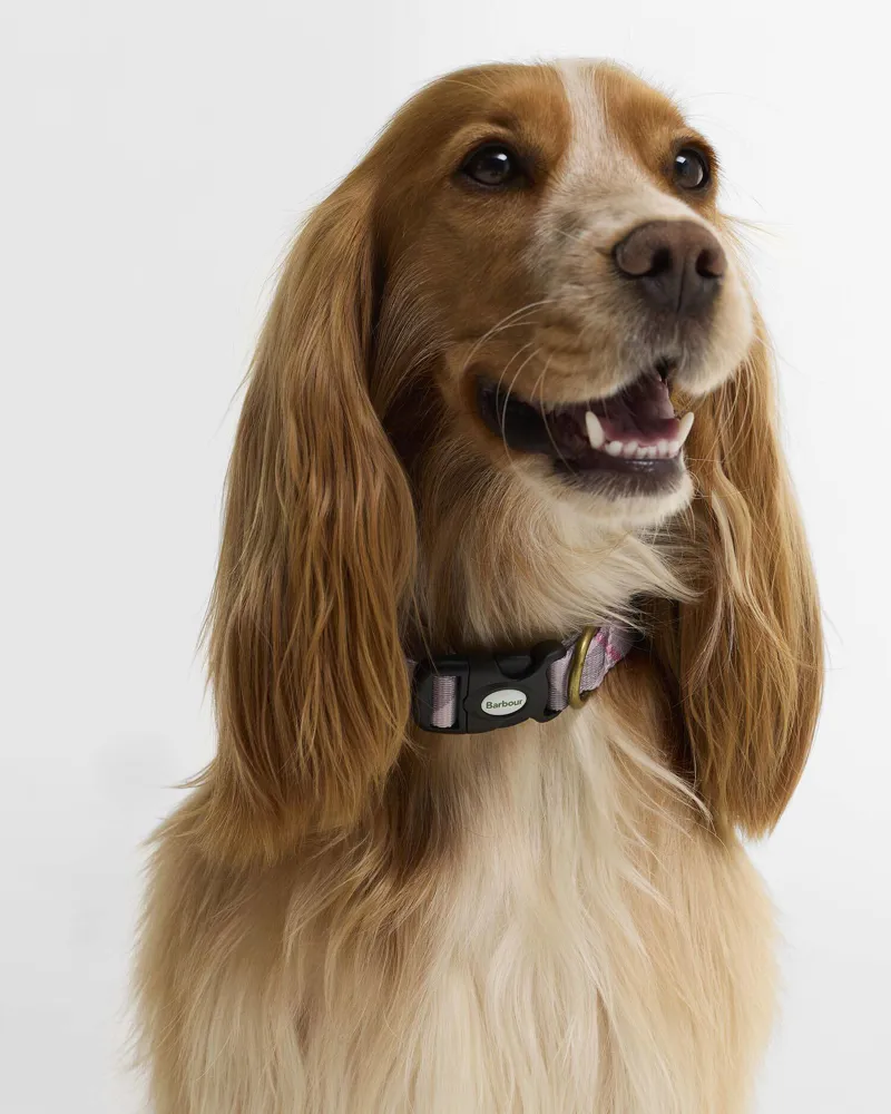 Barbour Tartan Printed Dog Collar - Pink Tartan-1